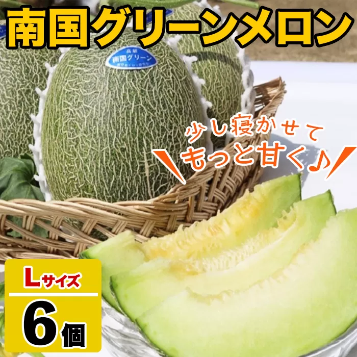 鹿児島県産！南国グリーンメロン(Lサイズ×6個) メロン めろん 果物 スイーツ デザート フルーツ 【あくね旬の店いきいき館】akn015-20