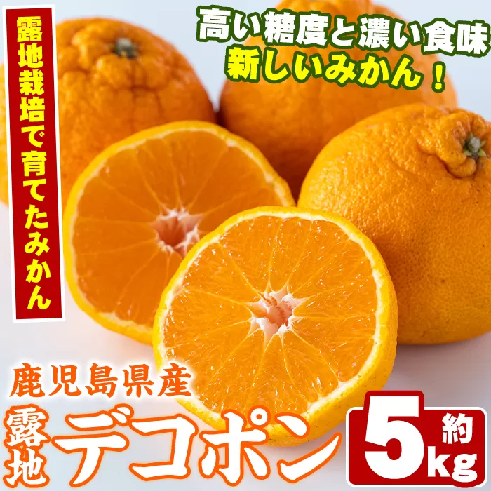 ＜先行予約受付中！2026年3月以降順次発送予定＞鹿児島県産！露地デコポン(約5kg・15〜24玉) 果物 冬 春 柑橘 みかん 蜜柑 フルーツ 期間限定 数量限定【鹿児島いずみ農業協同組合】akn018-10