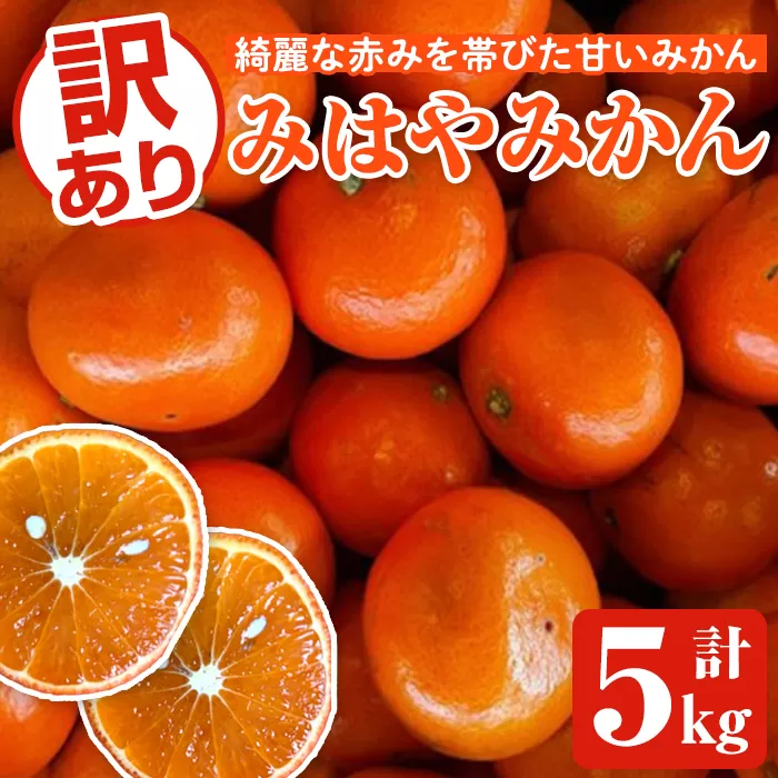 ＜先行予約受付中！2025年12月中旬以降順次発送予定＞訳ありみはやみかん(計5kg) 国産 フルーツ 果物 蜜柑 柑橘 みかん 訳あり【松永青果】akn053-13