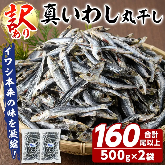 訳あり！真イワシ丸干し＜めざし＞(合計160尾以上・500g×2袋) 国産 鹿児島県産 阿久根市産 魚 魚介 水産 訳あり 訳アリ いわし 鰯 めざし マイワシ まいわし 真いわし 丸干し 丸干 チャック付き袋 【鈴木海産】a-14-62-z