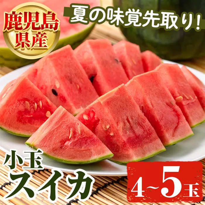 鹿児島県産 小玉スイカ(4〜5玉) 国産 果物 スイカ すいか 西瓜 フルーツ スイーツ スムージー ジュース 期間限定【松永青果】akn053-25