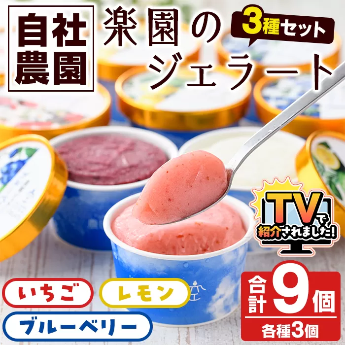 楽園のジェラート3種セット(合計9個) スイーツ デザート おやつ ジェラート アイス 夏 いちご レモン ブルーベリー 自社農園【農園ガーデン空】akn026-05