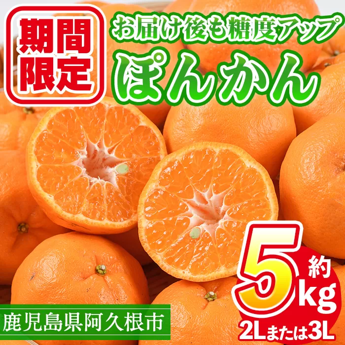 ＜先行予約受付中！2025年12月下旬以降順次発送予定＞数量限定！鹿児島県産 手詰めぽんかん(計約5kg・2L or 3L) 旬 フルーツ 果物 くだもの ポンカン 早生系統 デザート ノーワックス 阿久根市産 期間限定 数量限定 手詰 手作業【三笠農業生産】a-14-64-z