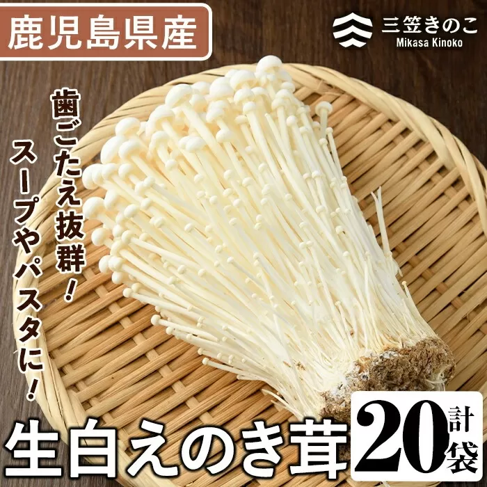 生白えのき茸(20袋・計5kg)国産 エノキ きのこ キノコ 個包装【三笠えのき茸生産組合】akn010-10