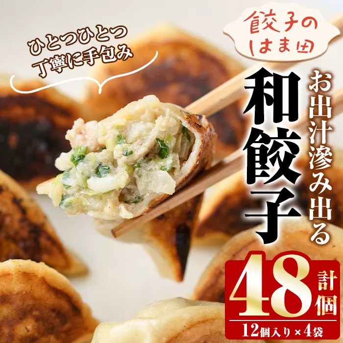 お出汁滲み出る和餃子(計48個・12個入り×4袋) 餃子 生餃子 ギョウザ ぎょうざ ギョーザ セット 詰め合わせ おかず お惣菜 冷凍 和風 水餃子【餃子のはま田】akn096-01
