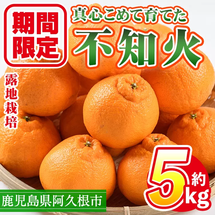 ＜先行予約受付中！2026年3月上旬以降順次発送予定＞数量限定！鹿児島県産 露地栽培の不知火(計約5kg：大将季) 国産 みかん ミカン 柑橘 フルーツ 果物 旬 デザート 数量限定 期間限定 露地 阿久根市産 しらぬい シラヌイ【三笠農業生産】akn051-10