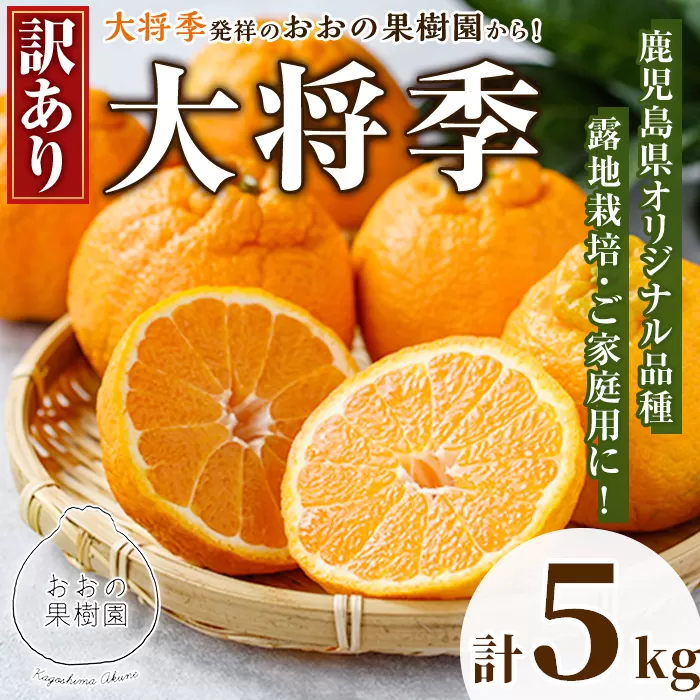 ＜先行予約受付中！2026年3月中旬以降順次発送予定＞数量限定！訳あり・ご家庭用！おおの果樹園の「大将季」(計5kg) 訳あり 訳アリ 果物 フルーツ 果実 柑橘 露地栽培 家庭用 無加温 みかん【おおの果樹園】akn087-02