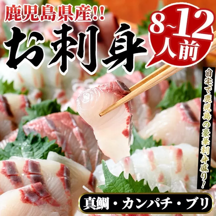 厳選お刺身BOX(8〜12人前) 国産 お刺身 魚貝 魚介 鯛 カンパチ ブリ 海産物 刺身 おつまみ セット 【さるがく水産】 国産 お刺身 魚貝 魚介 鯛 カンパチ ブリ 海産物 刺身 おつまみ セット【さるがく水産】a-40-10-z