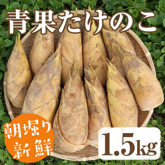 【土日祝着】＜先行予約受付中！2026年2月下旬以降順次発送予定＞朝堀り青果たけのこ(約1.5kg) 国産 新鮮 タケノコ 青果 竹の子 筍 野菜 春 旬 期間限定【上野食品】akn008-04-B