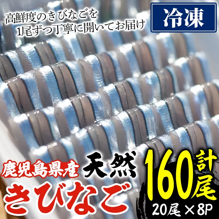 ＜冷凍＞鹿児島県阿久根産 天然きびなごのお刺身(計160尾・20尾×8パック) 国産 魚介 魚貝 海産物 鮮魚 刺身 天ぷら 冷凍配送 キビナゴ 海鮮丼 食品 セット 詰め合わせ 水産加工品 【濱崎魚類】a-12-227-z