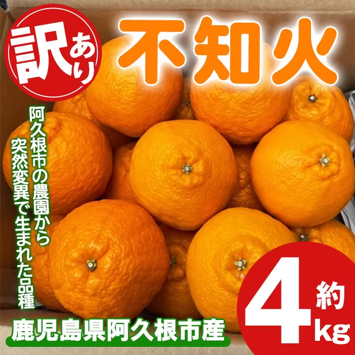 ＜先行予約受付中！2026年3月上旬以降順次発送予定＞訳あり！露地栽培の不知火(4kg：大将季) 国産 不知火 しらぬい 柑橘 果物 フルーツ デザート 露地 果実 期間限定 数量限定 【古田果樹園】akn093-07
