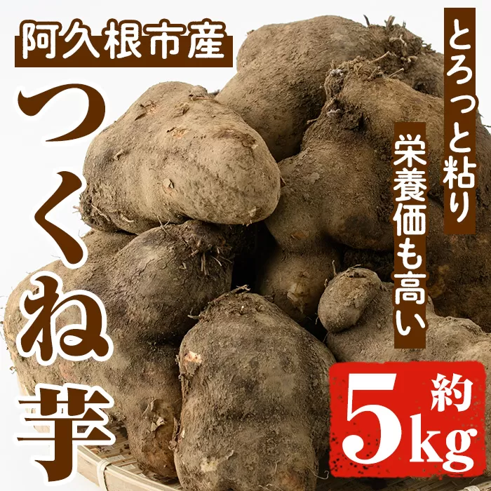 ＜先行予約受付中！2025年11月以降順次発送予定＞つくね芋(大薯)(約5kg) 鹿児島県 阿久根市 つくね芋 大薯 だいじょ大和芋 山芋 とろろ【松永青果】akn053-12