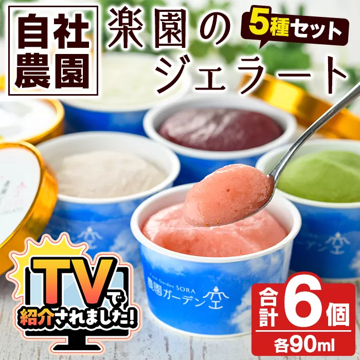 ＼テレビで紹介されました！／農園ガーデン空 楽園のジェラートセット(90ml×6個) ジェラート アイス いちご いちごミルク レモン ブルーベリー 抹茶 デザート スイーツ おやつ 夏 鹿児島 バラエティ バレンタイン ホワイトデー【農園ガーデン空】akn026-12