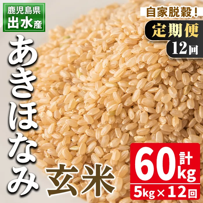 i651 ＜定期便・計12回(連続)＞鹿児島県出水市産あきほなみ 玄米＜5kg×全12回＞ 米 玄米 お米 5kg 計60kg 定期便 国産 アキホナミ おにぎり 自家脱穀 ごはん お米マイスター 厳選 【田上商店】