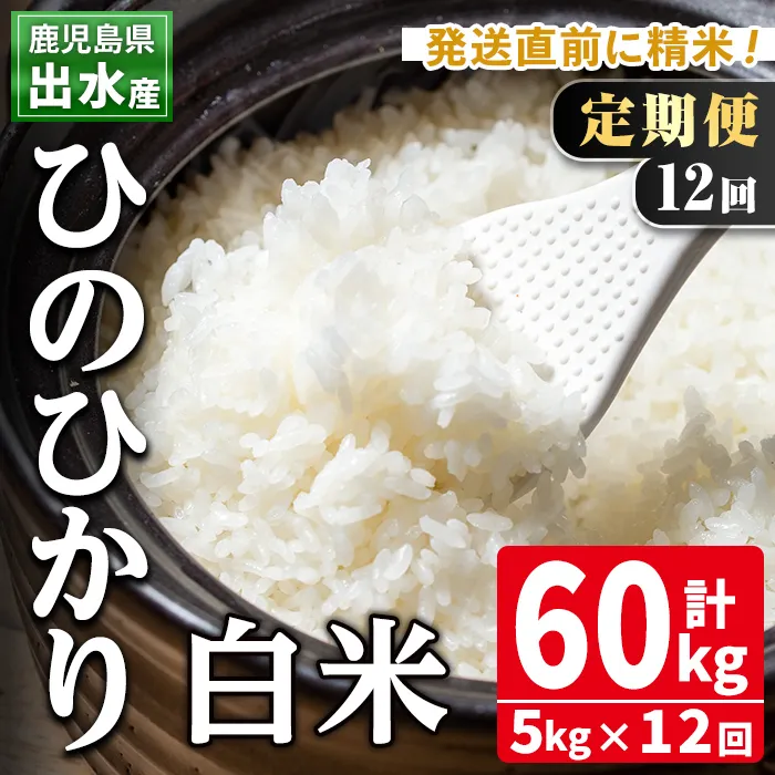 i653 ＜定期便・計12回(連続)＞鹿児島県出水市産ひのひかり＜5kg×全12回＞ 米 白米 お米 5kg 計60kg 定期便 国産 ヒノヒカリ おにぎり 自家脱穀 ごはん お米マイスター 厳選 【田上商店】