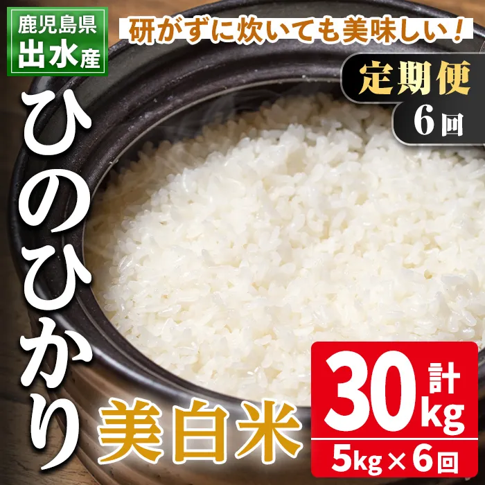 i664 ＜定期便・計12回(連続)＞鹿児島県出水市産ひのひかり美白米＜5kg×全12回＞ 米 5kg 計60kg お米 白米 ヒノヒカリ 美白米 定期便 自家脱穀 自家精米 精米 おにぎり ごはん お米マイスター 厳選【田上商店】