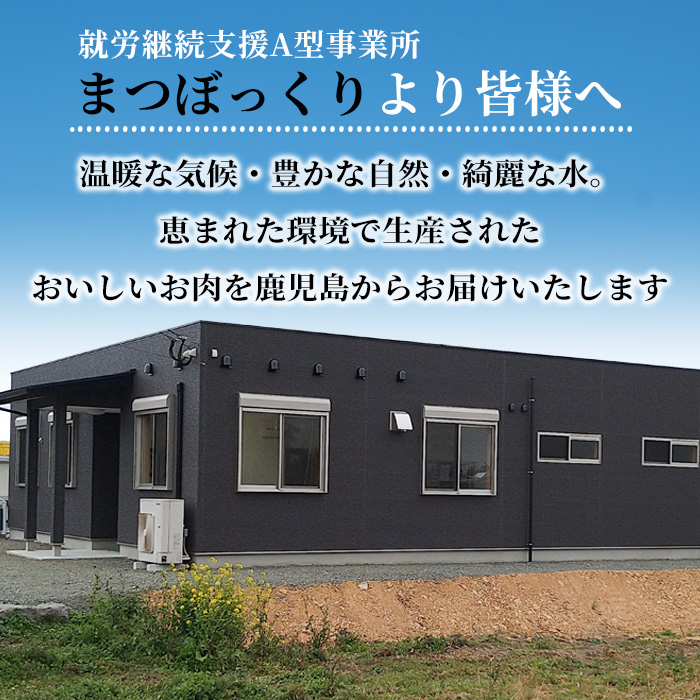 【希少/関税負担一切無/送料無料/海外限定/セール】Classic i703-om ＜期間限定 +1パック＞《訳あり》鹿児島県産豚小間切れ