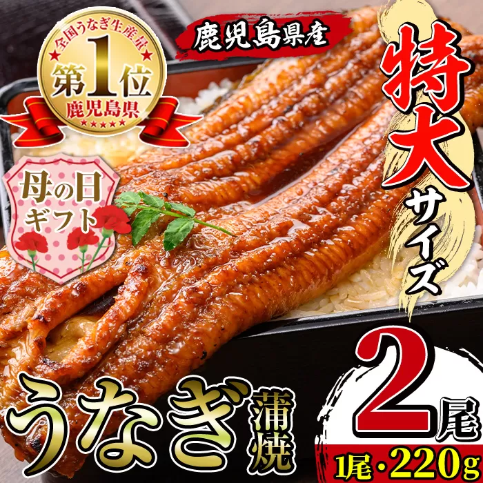 i1078-A-m 【母の日ギフト】\特大サイズ/鹿児島県産 うなぎ蒲焼 2尾(約220g×2・計約440g) たれ 山椒付きうなぎ 鰻 ウナギ 特大 特大サイズ 約220g 蒲焼き 国産 鹿児島県産 焼きたて 生産量日本一 真空パック おかず 晩御飯 特別な日 贈答 ギフト プレゼント 母の日 【薩摩川内鰻】