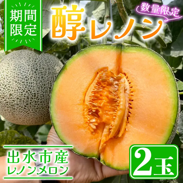 i1225 <先行予約受付中!2026年11月下旬から発送>≪数量・期間限定≫ 醇レノン(1箱 2玉入り) メロン レノンメロン 国産 旬 フルーツ 赤肉 有機肥料 果物 くだもの 果肉 デザート 【Farmer friends Marche】