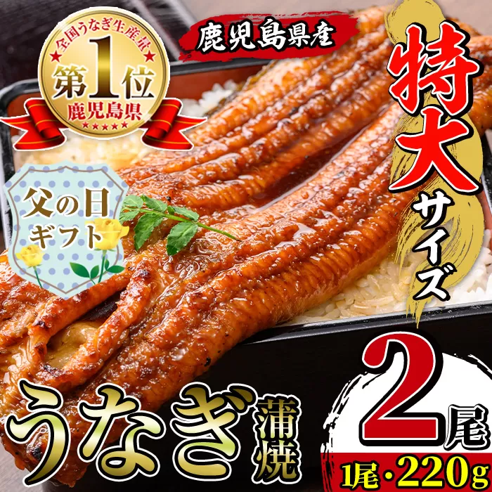 i1078-A-f 【父の日ギフト】\特大サイズ/鹿児島県産 うなぎ蒲焼 2尾(約220g×2・計約440g) たれ 山椒付きうなぎ 鰻 ウナギ 特大 特大サイズ 約220g 蒲焼き 国産 鹿児島県産 焼きたて 生産量日本一 真空パック おかず 晩御飯 特別な日 贈答 ギフト プレゼント 父の日 【薩摩川内鰻】