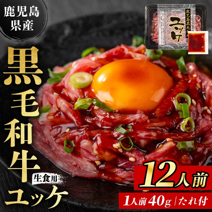 i1211-B 鹿児島県産黒毛和牛ユッケ12人前(40g×12P・計480g) 肉 牛肉 黒毛和牛 国産 鹿児島県産 ユッケ 生食 旨み カミチク 【株式会社LRプラスK】