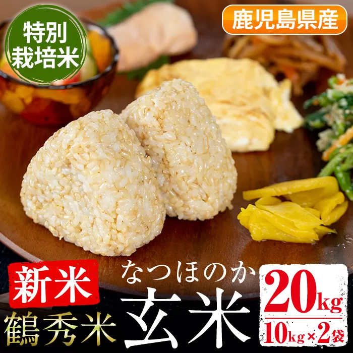 i304 ≪先行予約受付中！2024年9月中旬〜10月中旬の間に発送予定≫＜数量限定・新米＞ 鶴秀米なつほのか 玄米(10kg×2袋・20kg) 特別栽培米 米 玄米 お米 20kg 国産 なつほのか 新米 おにぎり ごはん 数量 限定 【鶴秀】