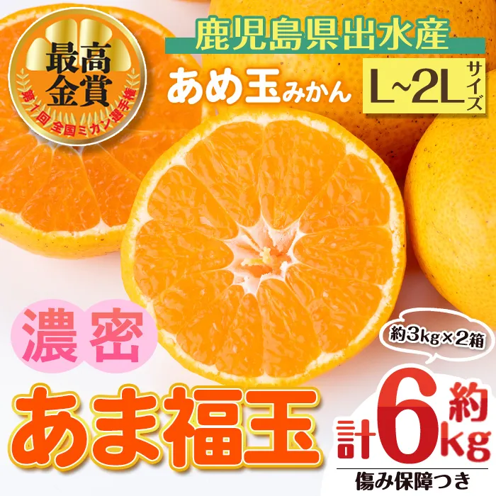 i1364-B 先行予約受付中！＜2026年11月中旬〜2027年1月下旬の間に発送予定＞【特別栽培・最高金賞】【特別栽培・最高金賞】あめ玉みかん・大玉サイズ  あま福玉 (L~2L / 約6kg (約3kg×2箱)＋傷み保障200ｇ(3〜4玉)) みかん 蜜柑 ミカン 柑橘 果物 フルーツ 果実 国産 鹿児島 【Farmer friends Marche】