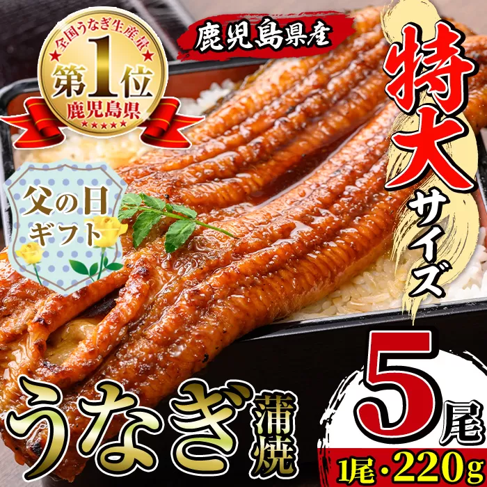 i1078-C-f 【父の日ギフト】＼特大サイズ／鹿児島県産 うなぎ蒲焼 5尾（約220g×5・計約1100g） たれ 山椒付きうなぎ 鰻 ウナギ 特大 特大サイズ 約220g 蒲焼き 国産 鹿児島県産 焼きたて 生産量日本一 真空パック おかず 晩御飯 特別な日 贈答 ギフト プレゼント 父の日 【薩摩川内鰻】