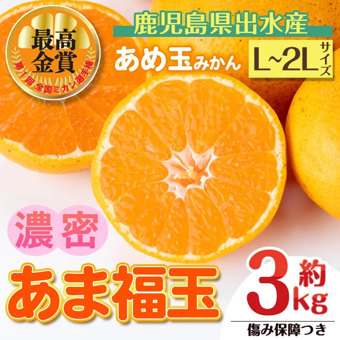 i1364-A 先行予約受付中！＜2026年11月中旬〜2027年1月下旬の間に発送予定＞【特別栽培・最高金賞】【特別栽培・最高金賞】あめ玉みかん・大玉サイズ  あま福玉 (L~2L / 約3kg・1箱＋傷み保障約200g(3〜4玉)) みかん 蜜柑 ミカン 柑橘 果物 フルーツ 果実 国産 鹿児島 【Farmer friends Marche】