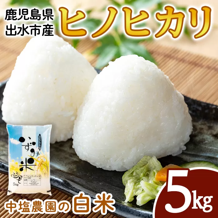 i1079-A ＜令和7年産 新米＞鹿児島県 出水市産 ヒノヒカリ (5kg) 米 5kg ひのひかりヒノヒカリ 鹿児島 5キロ お米 九州 九州産 甘み あっさり もちもち 新米 【いずみキッチン】