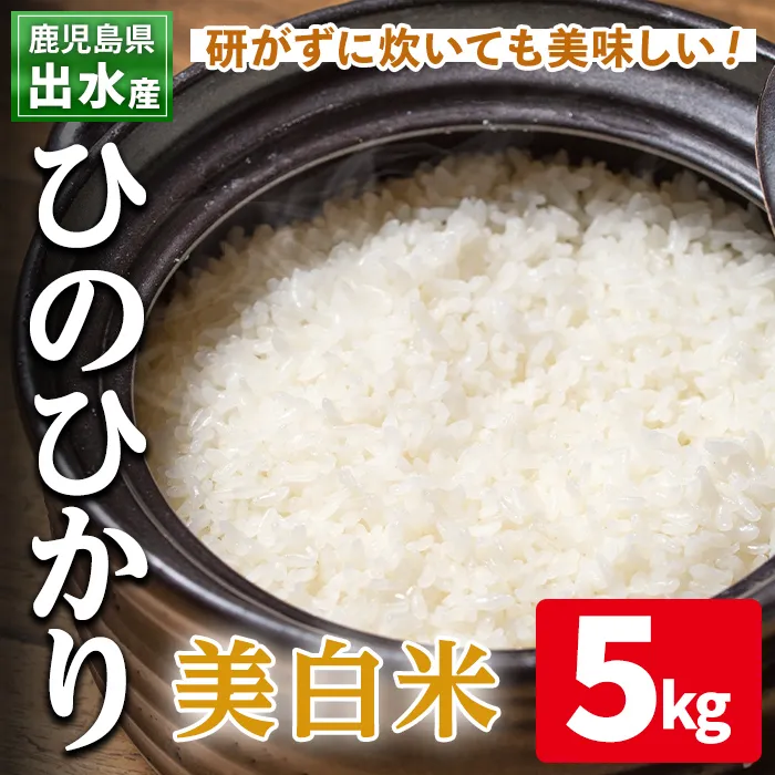 i502 鹿児島県出水市産ひのひかり美白米＜5kg＞ 米 5kg お米 白米 ヒノヒカリ 美白米 自家脱穀 自家精米 精米 おにぎり ごはん お米マイスター 厳選【田上商店】