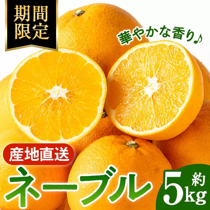 i988 ＜2026年1月下旬以降順次発送予定＞ネーブル (5kg) 訳あり 数量限定 柑橘 果物 くだもの フルーツ 旬 ネーブル ミカン オレンジ 【アーステクノ】