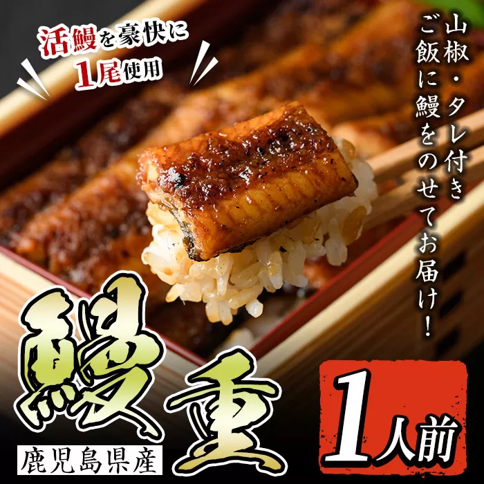 i799 鹿児島県産 鰻重(1人前)[とらふぐ家]