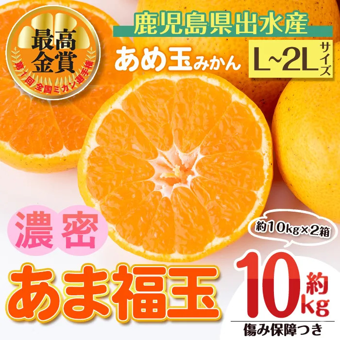 i1364-E 先行予約受付中！＜2026年11月中旬〜2027年1月下旬の間に発送予定＞【特別栽培・最高金賞】【特別栽培・最高金賞】あめ玉みかん・大玉サイズ  あま福玉 (L~2L / 約10kg (約10kg×1箱)＋傷み保障 約200g (3〜4玉)) みかん 蜜柑 ミカン 柑橘 果物 フルーツ 果実 国産 鹿児島 【Farmer friends Marche】