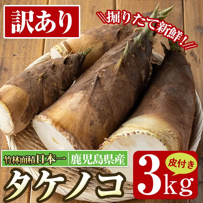 i500 ≪数量限定！先行予約受付中！2026年4月上旬～4月中旬の間に発送予定≫【訳あり】鹿児島県出水市産！タケノコ＜皮付き3kg＞ たけのこ 筍 タケノコ 国産 皮付き 訳アリ 野菜 旬 新鮮 採りたて 煮物 味噌汁 炊き込みご飯 【シンタク】