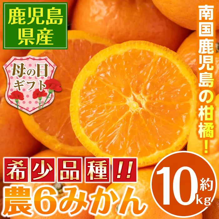 i593-m 【母の日ギフト】農6みかん(約10kg) 果物 フルーツ 柑橘 国産 鹿児島県産 みかん 蜜柑 母の日 プレゼント ギフト 贈答 【江崎果樹園】