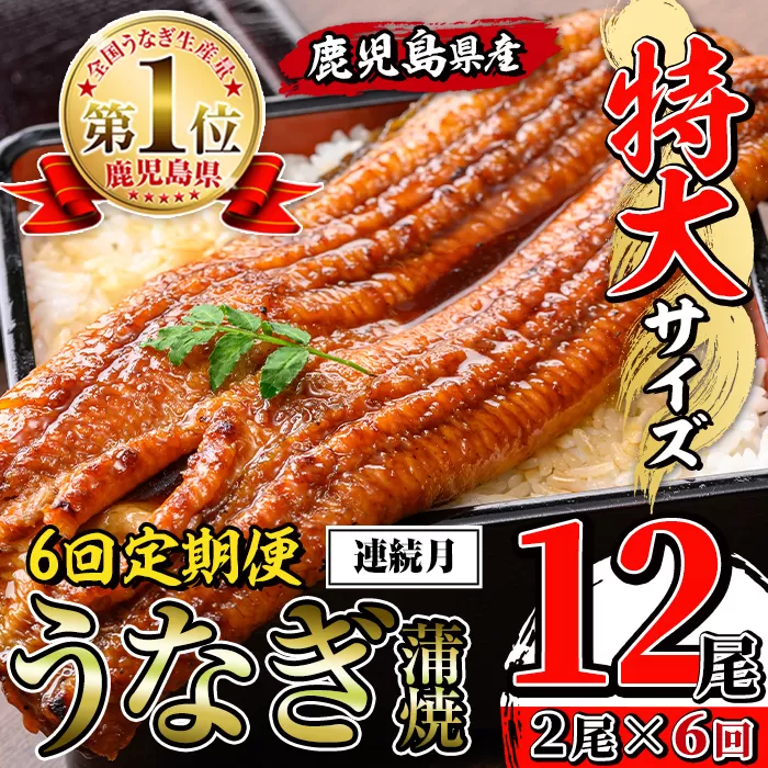 i1173-A <定期便・計6回(連続月)>\特大サイズ/鹿児島県産 うなぎ蒲焼 2尾セット <(約220g×2・計約440g)×全6回> 定期便 たれ 山椒付きうなぎ 鰻 ウナギ 特大 特大サイズ 約220g 蒲焼き 国産 鹿児島県産 焼きたて 生産量日本一 真空パック おかず 晩御飯 特別な日 土用の丑の日 【薩摩川内鰻】