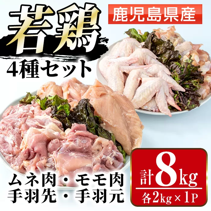 i1097 鹿児島県産 若鶏4種セット (ムネ・モモ・手羽先・手羽元 / 各2kg×1P・計8kg ) 鶏肉 むね肉 もも肉 手羽先 手羽元 国産 九州産 お肉 モモ肉 ムネ肉 手羽 手羽さき 手羽もと チキン 冷凍 セット 詰め合わせ 【まつぼっくり】