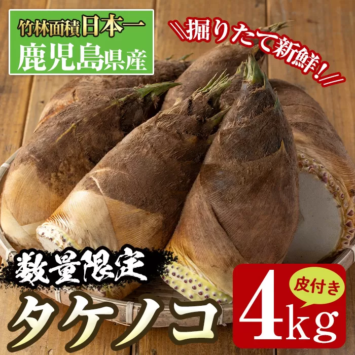 i366 ≪数量限定！先行予約受付中！2026年4月上旬～4月中旬の間に発送予定≫鹿児島県出水市産！タケノコ＜皮付き4kg＞ たけのこ 筍 タケノコ 国産 皮付き 野菜 旬 新鮮 採りたて 煮物 味噌汁 炊き込みご飯 【シンタク】