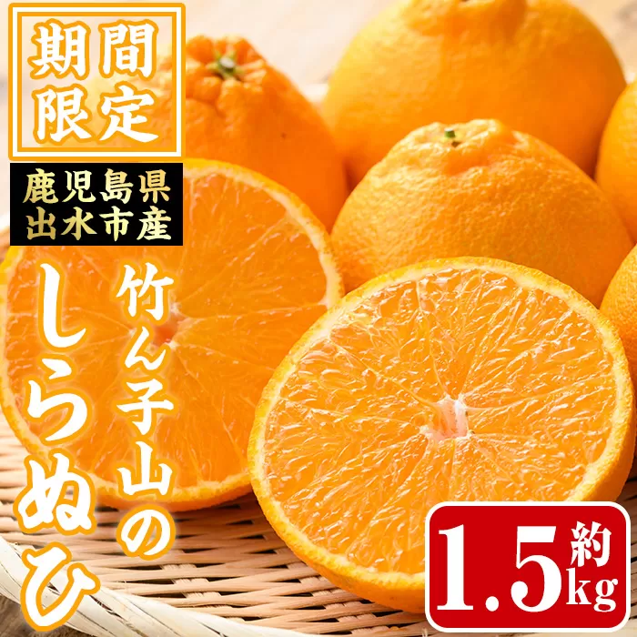 i1339 ≪数量・期間限定≫いずみ産 竹ん子山のしらぬひ(約1.5kg) 鹿児島 国産 九州産 しらぬい 不知火 柑橘 くだもの フルーツ 果実 【イーサイドライン】