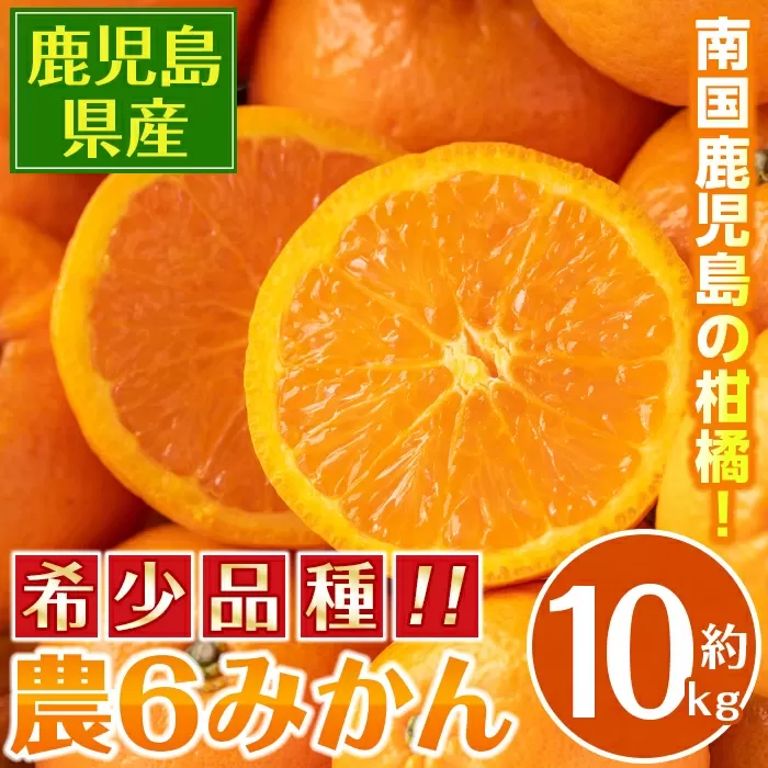 i593 ＜2026年3月下旬～6月中旬の間に発送予定＞農6みかん(約10kg) 果物 フルーツ 柑橘 国産 鹿児島県産 みかん 蜜柑 【江崎果樹園】
