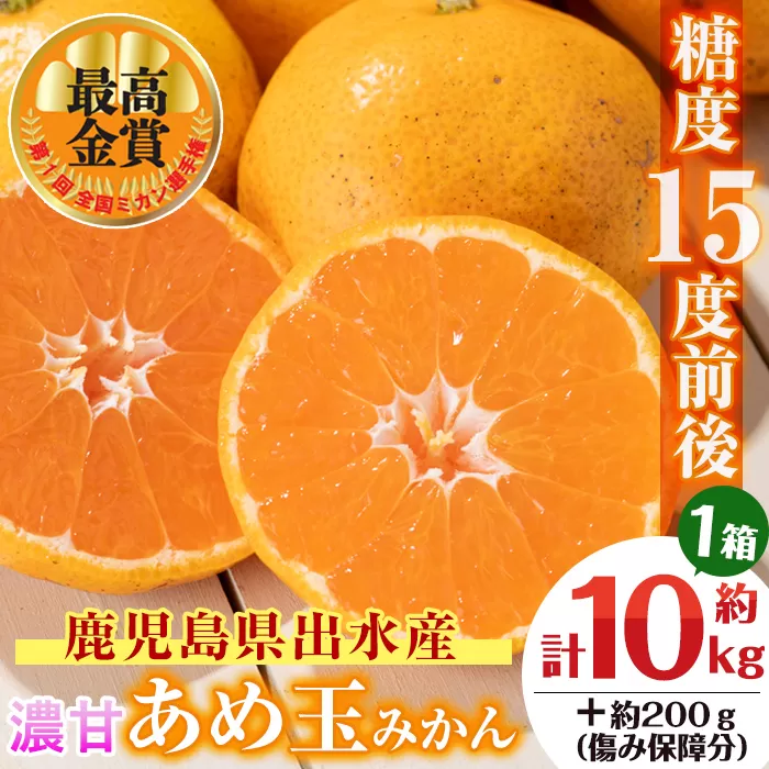 i572 ＜先行予約受付中！2025年11月中旬〜2026年1月下旬の間に発送予定＞【特別栽培・最高金賞】温州みかん日本一！濃甘あめ玉みかん(約10kg・1箱＋傷み保障 約200g(3〜4玉)  みかん 蜜柑 ミカン 柑橘 果物 フルーツ 果実 国産 鹿児島  【Farmer friends Marche】