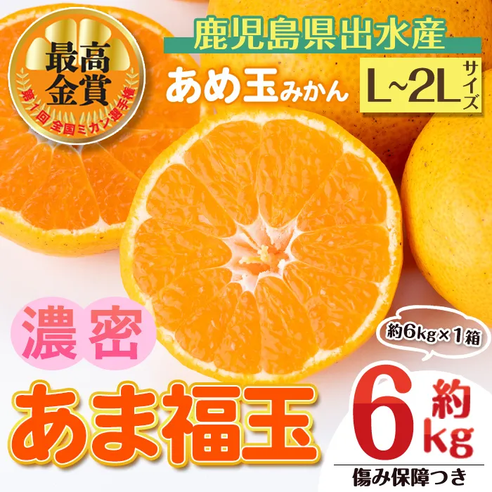 i1364-C 先行予約受付中！＜2026年11月中旬〜2027年1月下旬の間に発送予定＞【特別栽培・最高金賞】【特別栽培・最高金賞】あめ玉みかん・大玉サイズ  あま福玉 (L~2L / 約6kg (約6kg×1箱)＋傷み保障200ｇ(3〜4玉)) みかん 蜜柑 ミカン 柑橘 果物 フルーツ 果実 国産 鹿児島 【Farmer friends Marche】