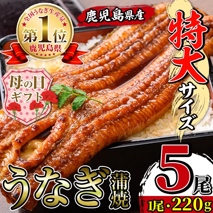 i1078-C-m 【母の日ギフト】\特大サイズ/鹿児島県産 うなぎ蒲焼 5尾(約220g×5・計約1100g) たれ 山椒付きうなぎ 鰻 ウナギ 特大 特大サイズ 約220g 蒲焼き 国産 鹿児島県産 焼きたて 生産量日本一 真空パック おかず 晩御飯 特別な日 贈答 ギフト プレゼント 母の日 【薩摩川内鰻】
