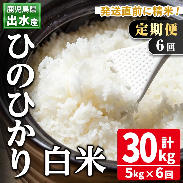 i704 ＜定期便・計6回(連続)＞鹿児島県出水市産ひのひかり＜5kg×全6回＞ 米 5kg 計30kg お米 白米 ヒノヒカリ 定期便 自家脱穀 自家精米 精米 おにぎり ごはん お米マイスター 厳選 【田上商店】