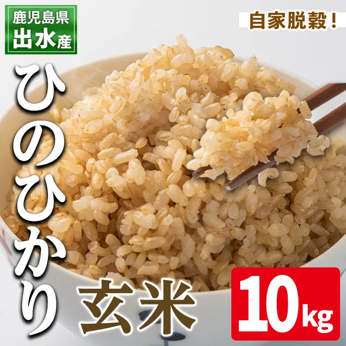 i503 鹿児島県出水市産ひのひかり玄米<10kg> 米 玄米 お米 10kg 国産 ひのひかり おにぎり ごはん 自家脱穀 お米マイスター 厳選 【田上商店】
