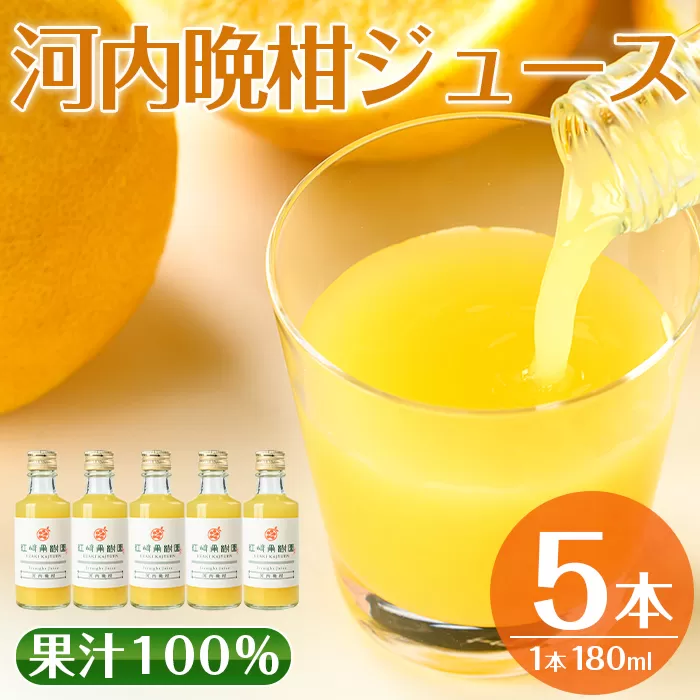 i990-A 河内晩柑ジュース(180ml×5本)[江崎果樹園]