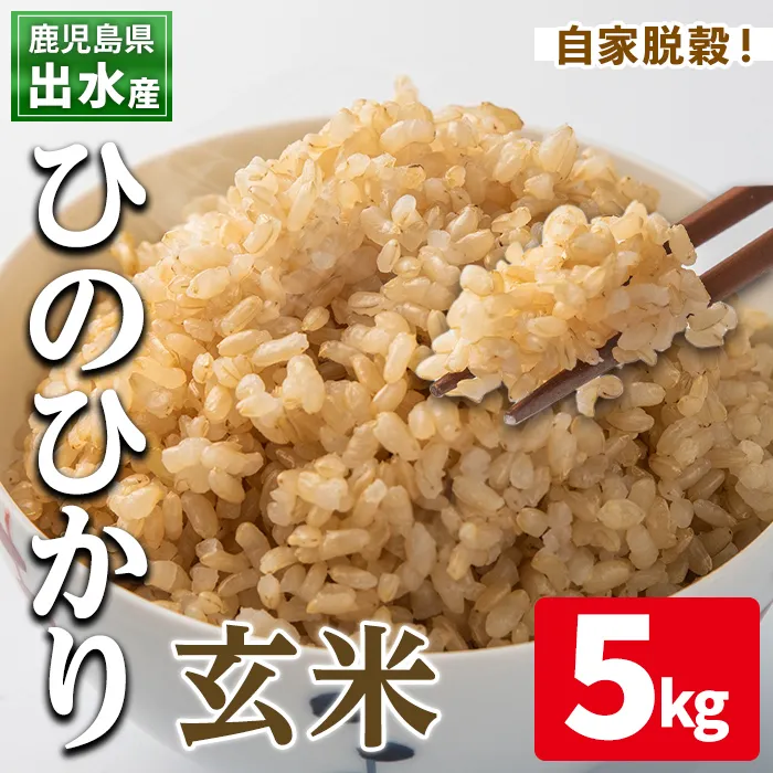i504 鹿児島県出水市産ひのひかり玄米＜5kg＞米 玄米 お米 5kg 国産 ひのひかり おにぎり ごはん 自家脱穀 お米マイスター 厳選 【田上商店】