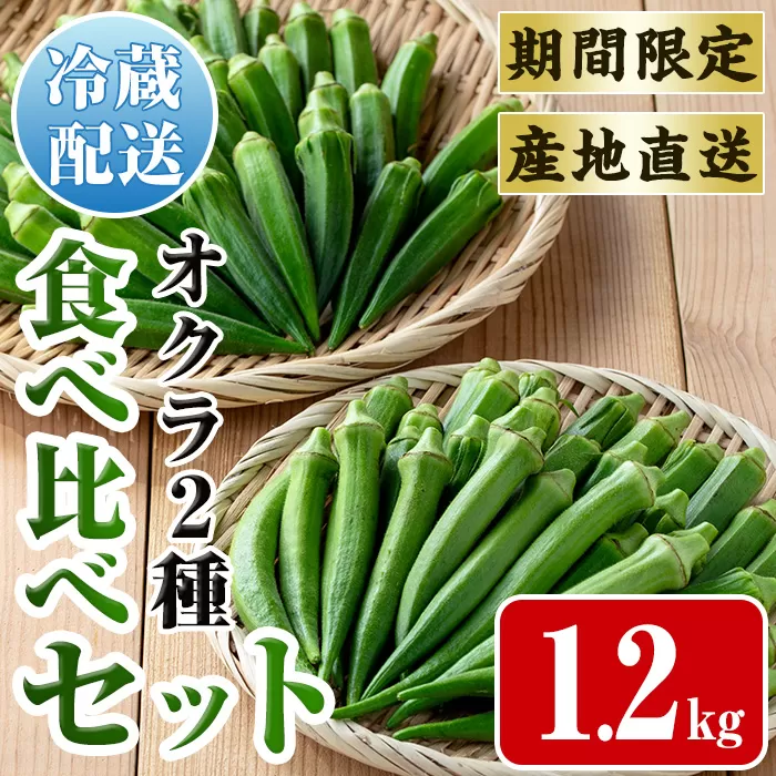 i1217-B ≪先行予約受付中！2026年7月下旬～10月下旬の間に発送予定≫いずみ産 丸オクラ・ジュピター食べ比べセット (1.2kg) オクラ おくら 野菜 夏野菜 サラダ おひたし 天ぷら 炒め物 新品種 丸オクラ 食べ比べ 【イーサイドライン】