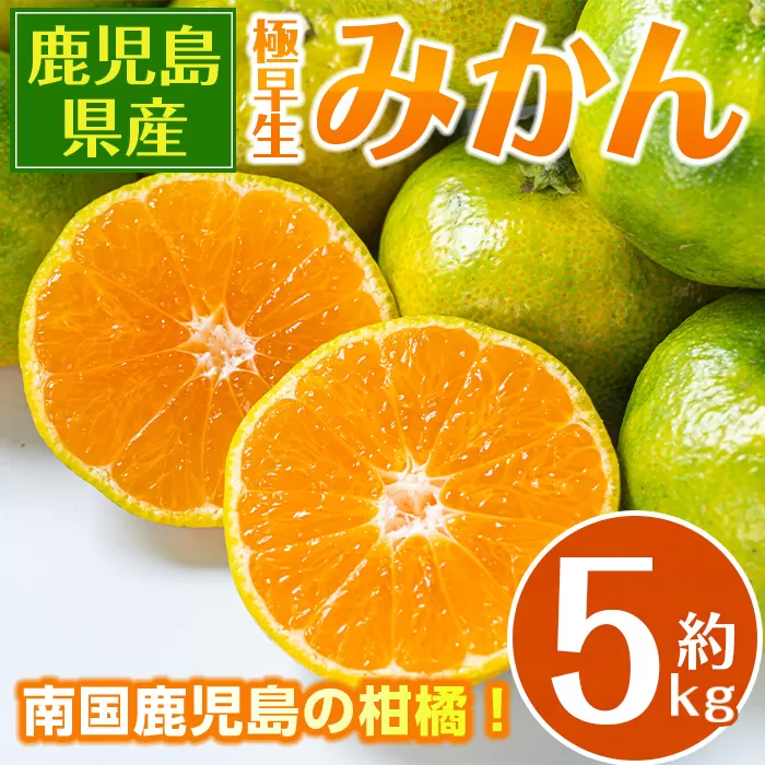i1171 《数量・期間限定》鹿児島みかん（極早生系・約5kg） みかん 蜜柑 ミカン 柑橘 極早生 10kg 果物 フルーツ 果実 国産 鹿児島 訳あり 【江崎果樹園】